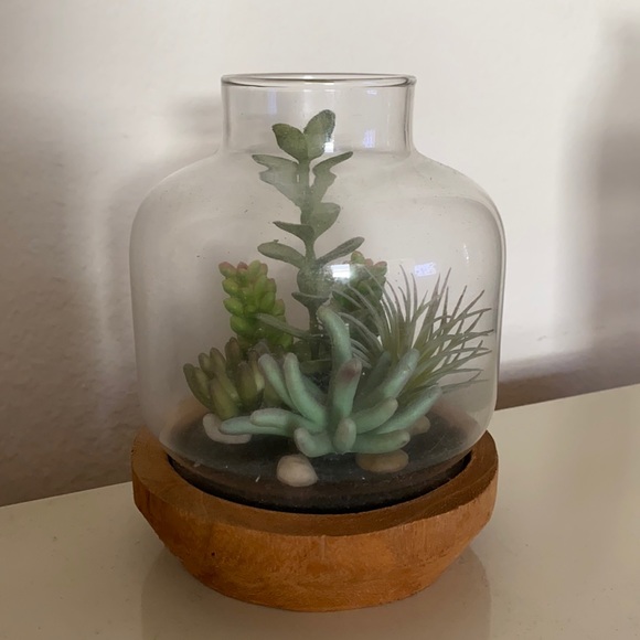 Faux Succulent